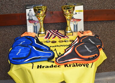 Turnaj ve stolním tenise v Hradci Králové 26. 9. 2020