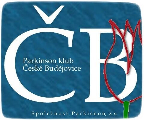 Cvičení s tanečními prvky v Českých Budějovicích