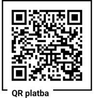 Informace o platbě 100 (2)