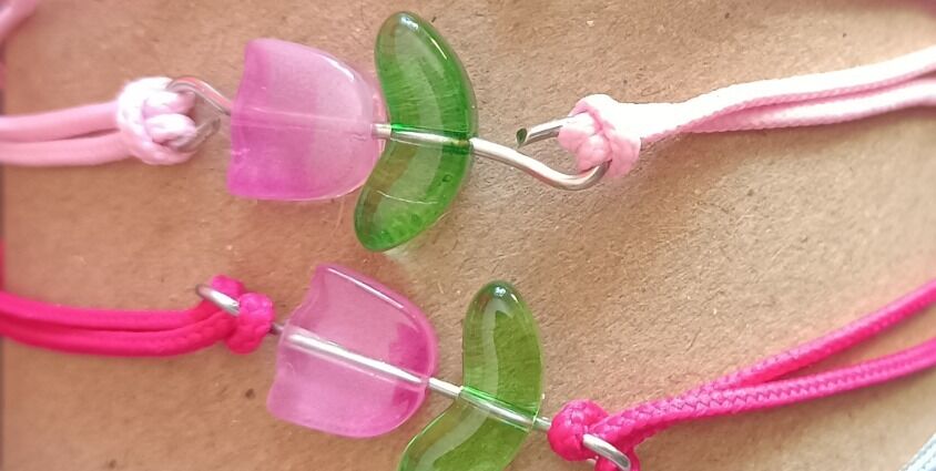 Sbírka ADOPTUJ TULIPÁN a založení transparentního účtu