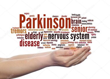 Seminář PK Olomouc