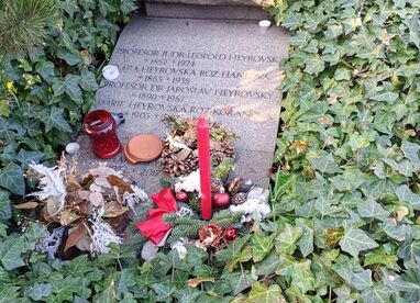 Vyšehrad RH
